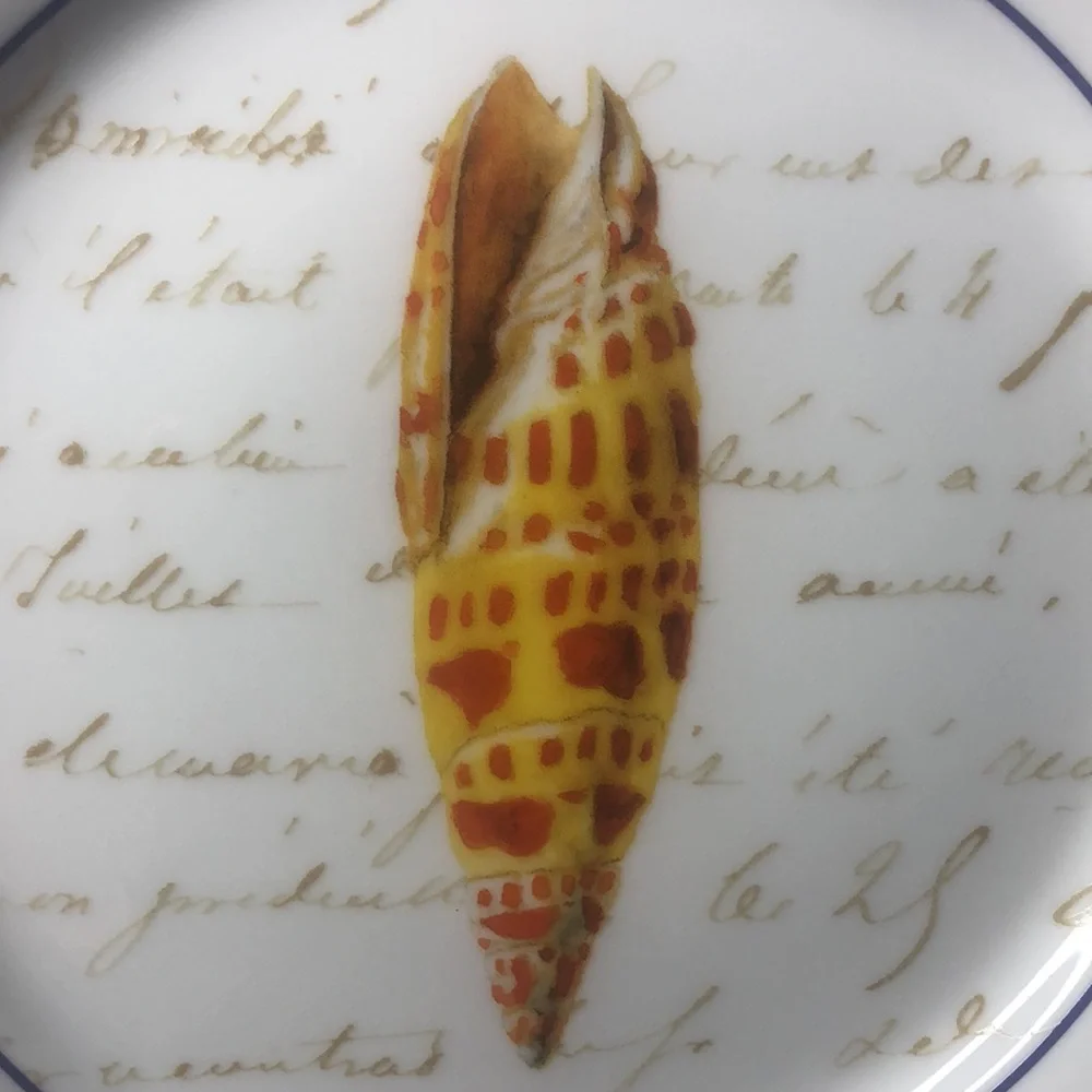 Williams Sonoma Set Seashell Salad Dessert Luncheon Plates
